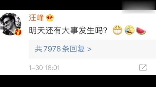 娱乐圈吃瓜入口小程序,揭秘明星幕后故事，畅享八卦盛宴