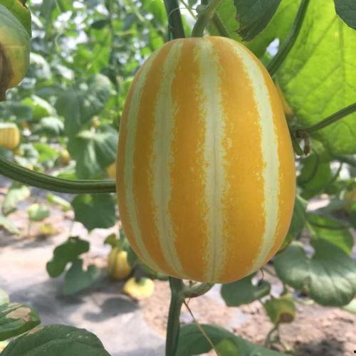 逗尔娱乐吃瓜看点在哪,吃瓜看点一网打尽！