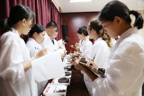 娱乐圈吃瓜西兰花